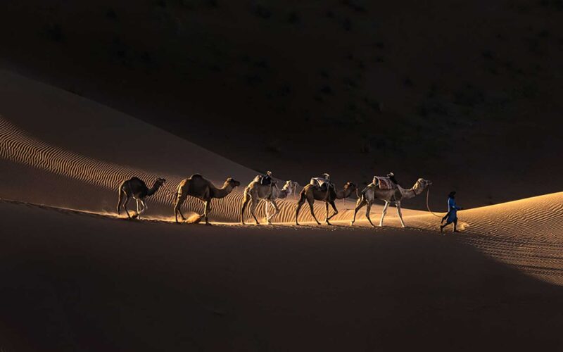 Moroccan desert landscape