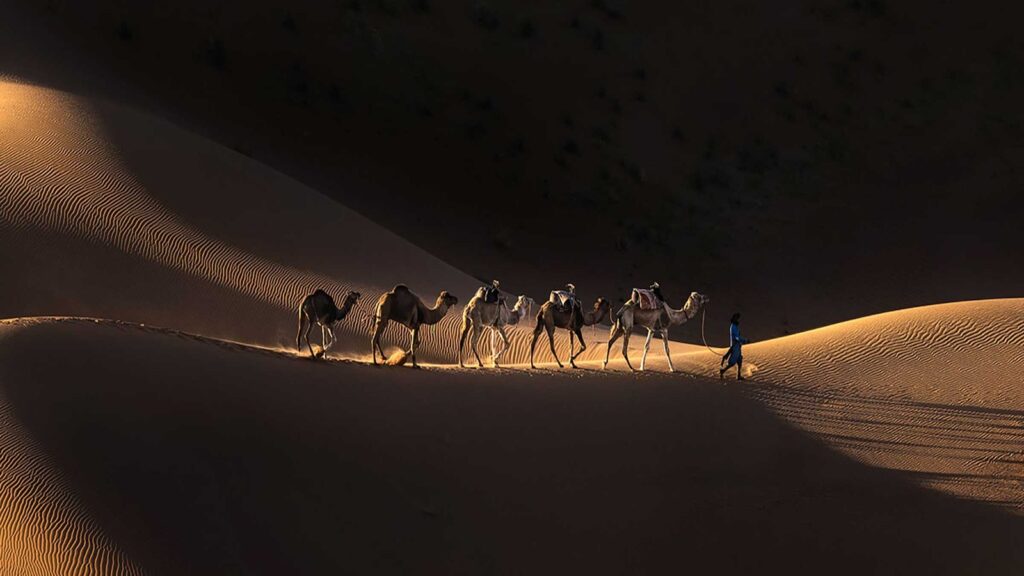 Camel caravan crossing Sahara dunes near Merzouga, Morocco